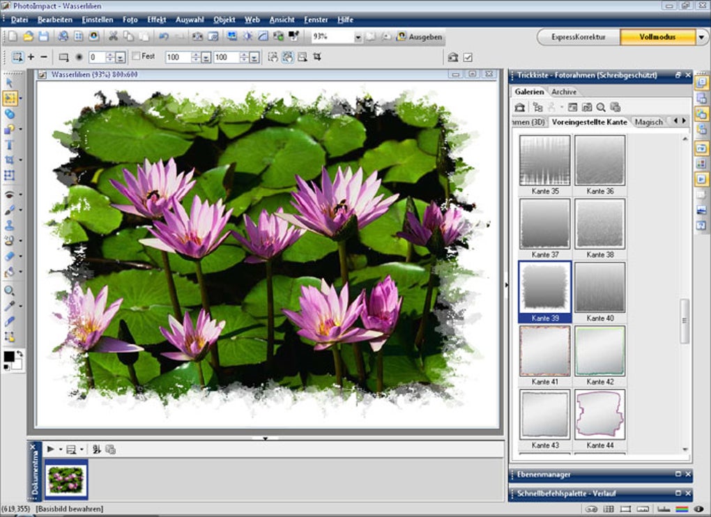 PhotoImpact X3 с фотографией водяных лилий и галереей Photo Frame в EasyPalette