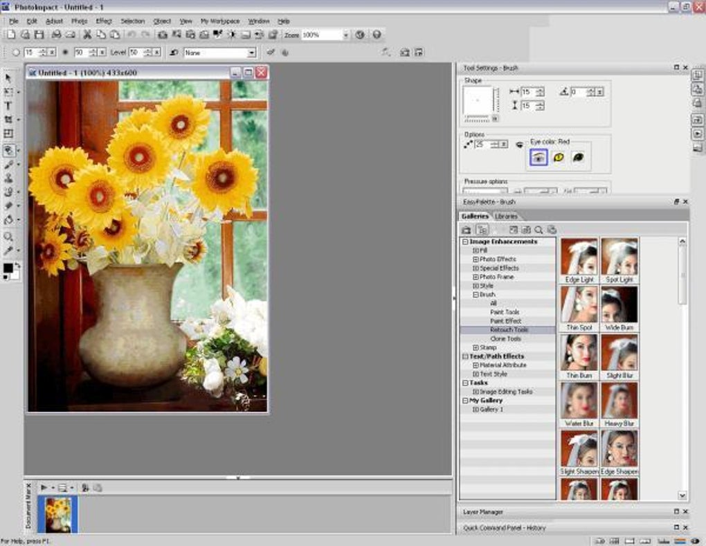 PhotoImpact X3 в Full Edit: изображение цветов, Tool Settings и библиотека эффектов