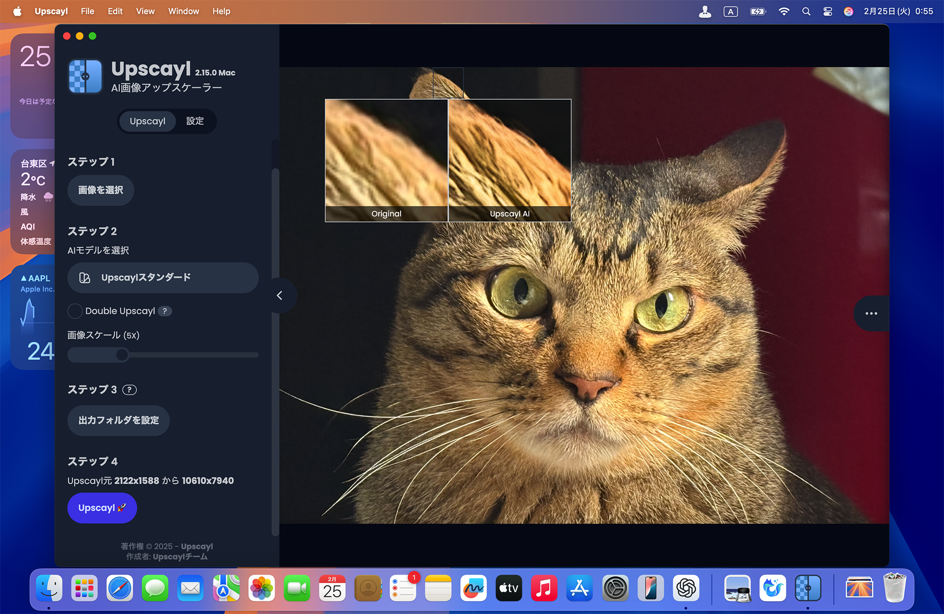 Upscayl 2.15.0 на macOS с фотографией кота и увеличенной областью сравнения результата
