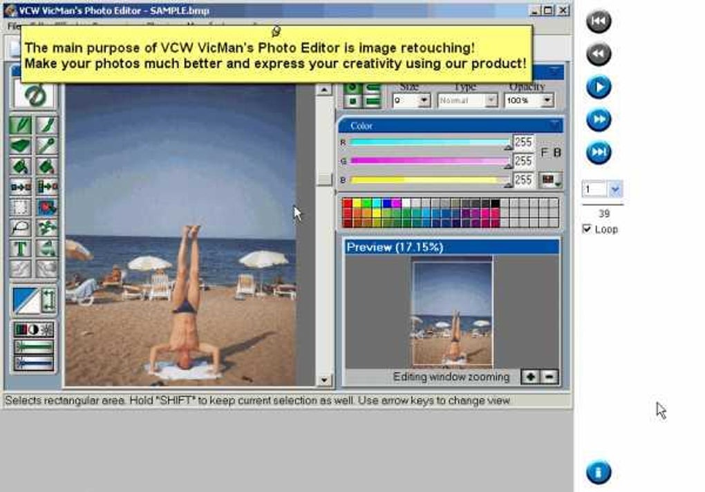 VCW VicMan’s Photo Editor с открытой фотографией, левой панелью инструментов, Color и Preview