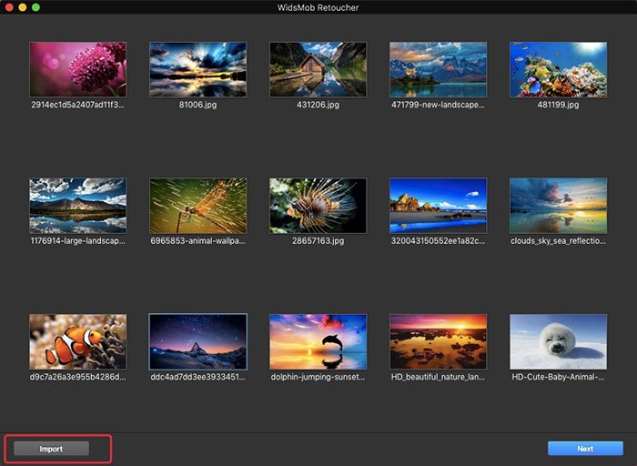 Сетка импортированных фотографий WidsMob Retoucher с кнопками Import и Next